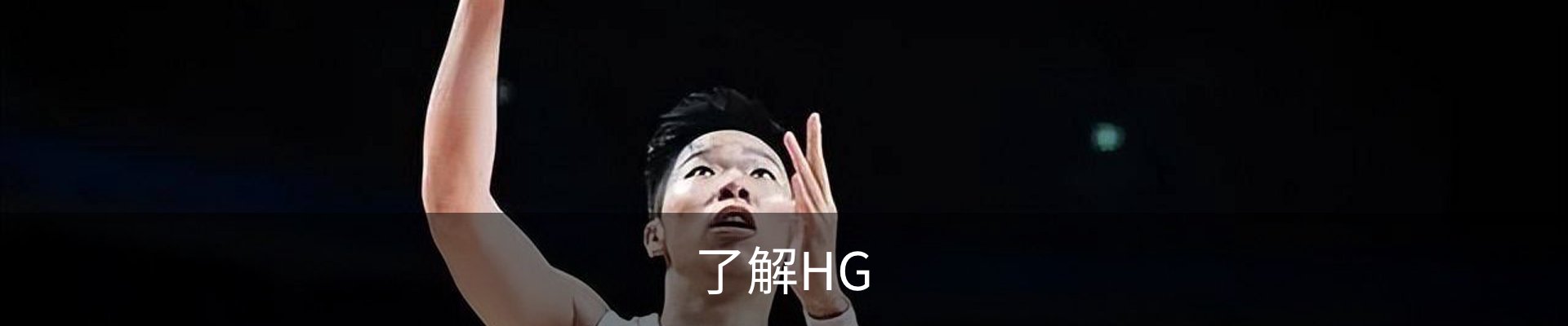 了解HG